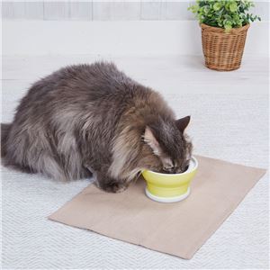 猫用食器 necoco 愛猫が食べやすい 脚付き食器 ドライフード向き