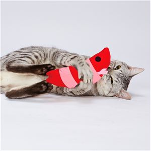 仔猫用けりぐるみ 子エビ 3個セット （猫用玩具）