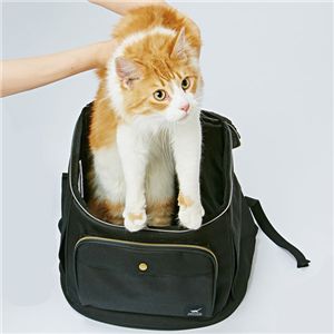 ペティオ necoco リュックキャリー ブラック ペット住関連用品