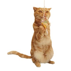 カシャカシャ紙ひもじゃらし チョウ 5個セット (猫用玩具)