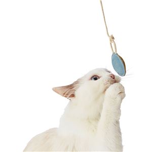 necoco レザー猫ボール 2個セット 3個セット (猫用玩具)