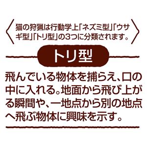 necoco レザー猫じゃらし 鈴レザー 5個セット (猫用玩具)