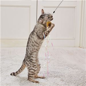 スティックじゃらし オーロラシャワー 3個セット