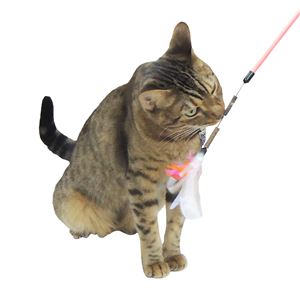 またたびカシャカシャじゃらし ガーベラ 3個セット （猫用玩具）