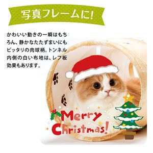 キャットトンネルスパイラル 木目柄 12個セット