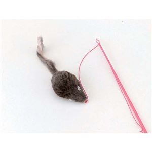 キャティーマンじゃれ猫 チューチュー 12個セット