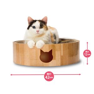 猫壱 バリバリボウル 猫柄 5個セット
