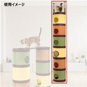 CAT TOWER MANSiON