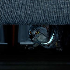 フラッシュソフトキャットカラー ブラック 3個セット (猫用品/首輪)