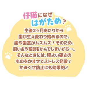 仔猫用 はがためフィッシュ猫じゃらし 5個セット (猫用玩具)