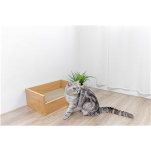 キャットベッド 本体 つめみがき付き