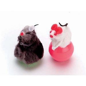 キャティーマンじゃれ猫 ニャンチューパンチ！ 12個セット