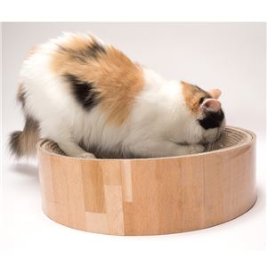 猫壱 バリバリボウル 猫柄 5個セット