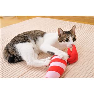 けりぐるみ エビ 5個セット