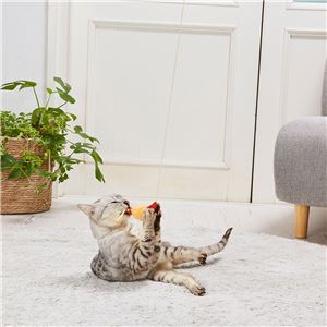 けりぐるみ de じゃらし ミニエビ天 5個セット (猫用玩具)