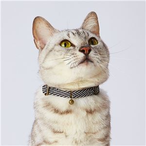 フラッシュソフトキャットカラー ブラック 3個セット (猫用品/首輪)